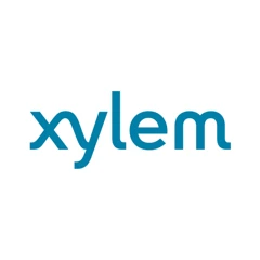 xylem