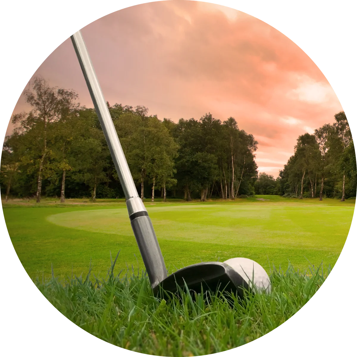 Golf club and ball beside a green at sunset